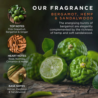 Baylis & Harding The Fuzzy Duck Bergamot, Hemp & Sandalwood Men's Luxury Grooming Tin Gift Set